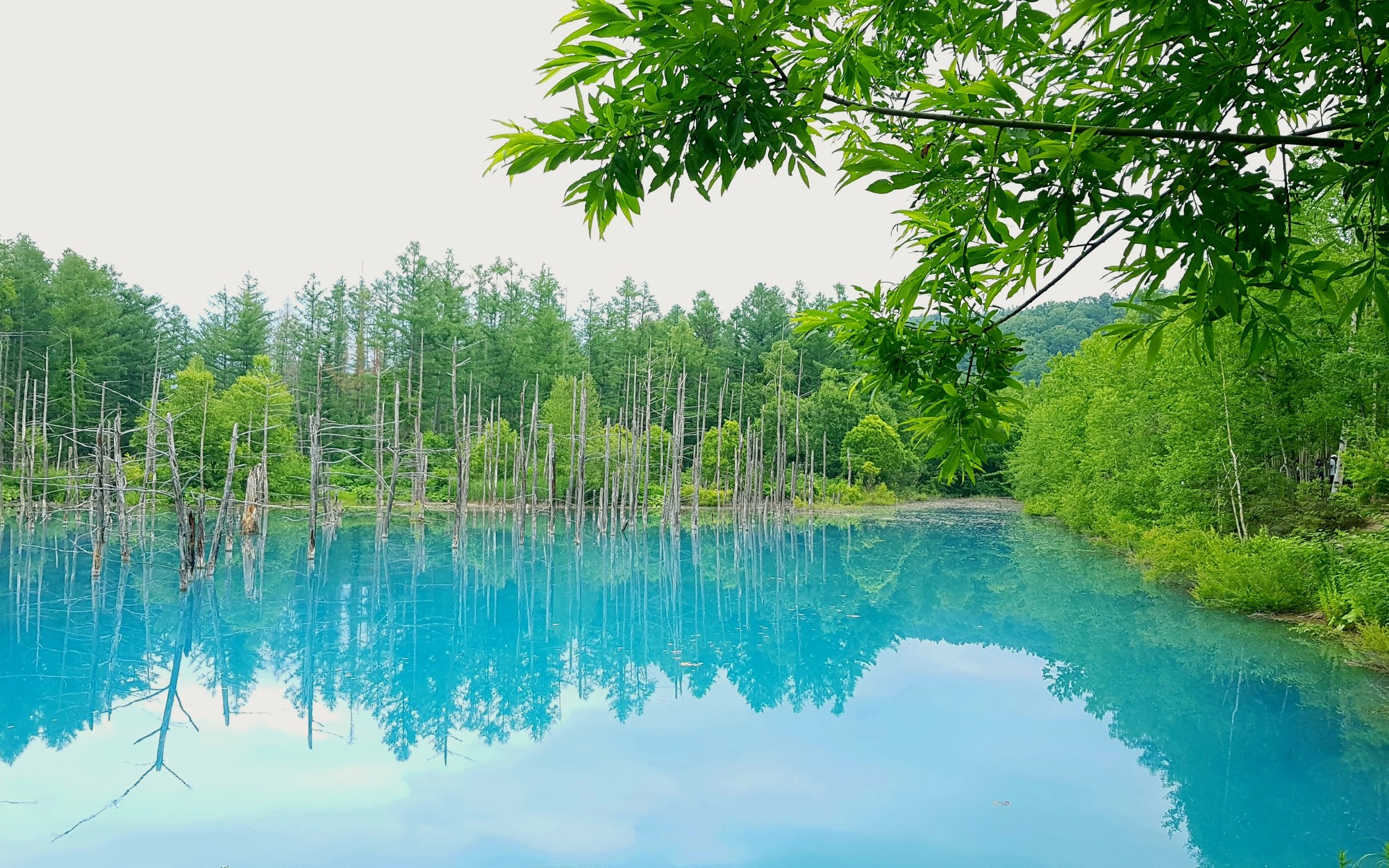 Shirogane Blue Pond