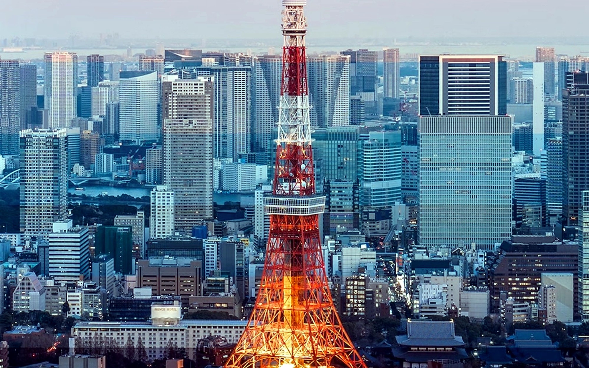 Tokyo Skyline